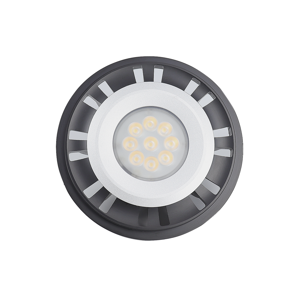 LT1036A Standard 35W PAR36 Low voltage LED Lamp