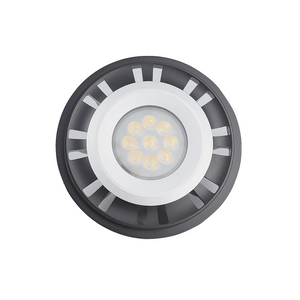 LT1036A Standard 35W PAR36 Low voltage LED Lamp