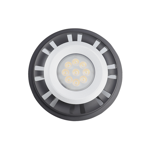 LT1036A Standard 35W PAR36 Low voltage LED Lamp