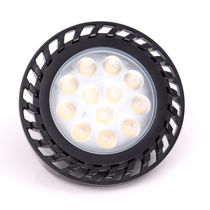 LT1036C Standard 100W PAR36 Low Voltage LED Lamp